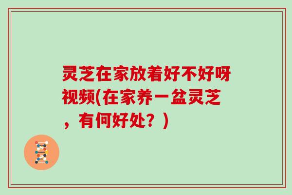 灵芝在家放着好不好呀视频(在家养一盆灵芝，有何好处？)