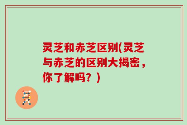灵芝和赤芝区别(灵芝与赤芝的区别大揭密，你了解吗？)