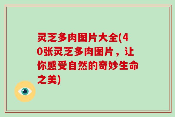 灵芝多肉图片大全(40张灵芝多肉图片，让你感受自然的奇妙生命之美)