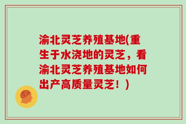 渝北灵芝养殖基地(重生于水浇地的灵芝，看渝北灵芝养殖基地如何出产高质量灵芝！)