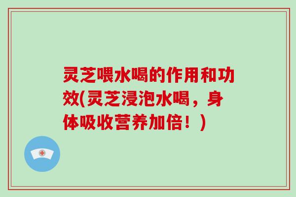 灵芝喂水喝的作用和功效(灵芝浸泡水喝，身体吸收营养加倍！)