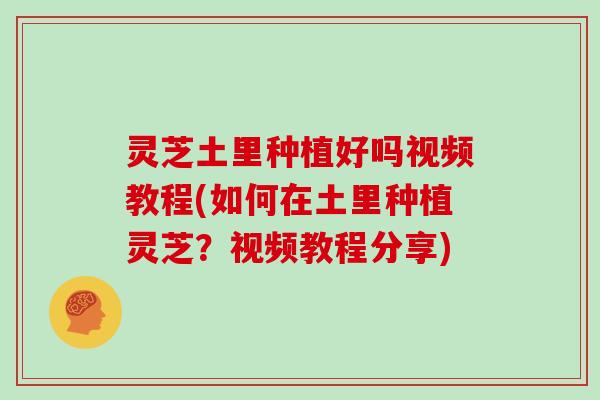 灵芝土里种植好吗视频教程(如何在土里种植灵芝？视频教程分享)