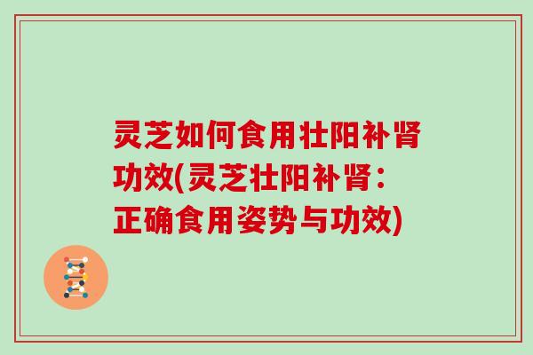 灵芝如何食用壮阳补肾功效(灵芝壮阳补肾：正确食用姿势与功效)