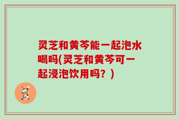 灵芝和黄芩能一起泡水喝吗(灵芝和黄芩可一起浸泡饮用吗？)