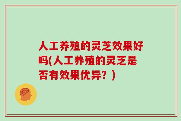 人工养殖的灵芝效果好吗(人工养殖的灵芝是否有效果优异？)