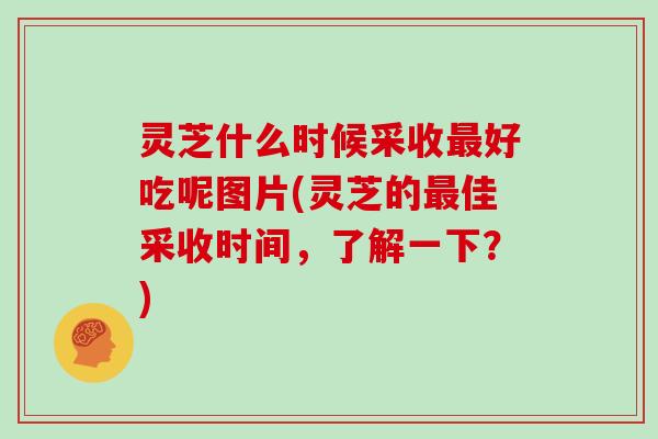 灵芝什么时候采收最好吃呢图片(灵芝的最佳采收时间，了解一下？)