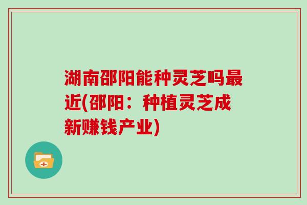湖南邵阳能种灵芝吗最近(邵阳：种植灵芝成新赚钱产业)