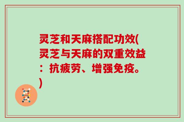灵芝和天麻搭配功效(灵芝与天麻的双重效益：抗疲劳、增强免疫。)