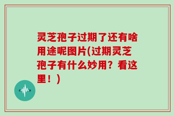 灵芝孢子过期了还有啥用途呢图片(过期灵芝孢子有什么妙用？看这里！)