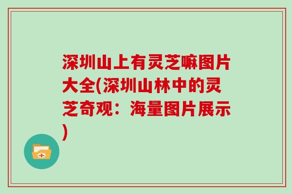 深圳山上有灵芝嘛图片大全(深圳山林中的灵芝奇观:海量图片展示)-第1张图片-灵芝大师 深圳山上有灵芝嘛图片大全(深圳山林中的灵芝奇观:海量图片展示)-第1张图片-灵芝大师