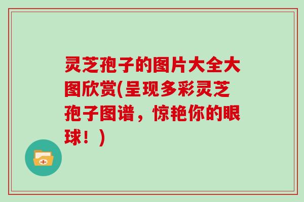 灵芝孢子的图片大全大图欣赏(呈现多彩灵芝孢子图谱，惊艳你的眼球！)