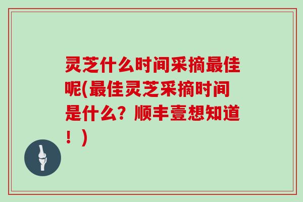 灵芝什么时间采摘最佳呢(最佳灵芝采摘时间是什么？顺丰壹想知道！)-第1张图片-灵芝大师