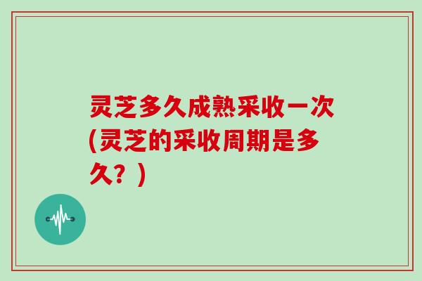 灵芝多久成熟采收一次(灵芝的采收周期是多久？)