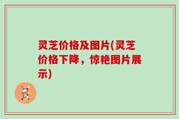 灵芝价格及图片(灵芝价格下降，惊艳图片展示)