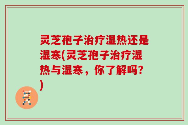 灵芝孢子治疗湿热还是湿寒(灵芝孢子治疗湿热与湿寒,你了解吗?)-第1张图片-灵芝大师 灵芝孢子治疗湿热还是湿寒(灵芝孢子治疗湿热与湿寒,你了解吗?)-第1张图片-灵芝大师