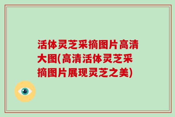 活体灵芝采摘图片高清大图(高清活体灵芝采摘图片展现灵芝之美)