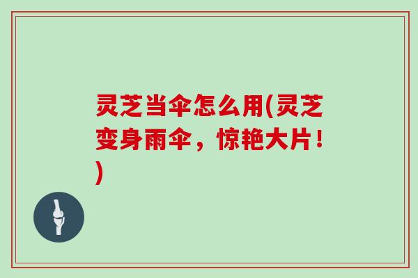 灵芝当伞怎么用(灵芝变身雨伞，惊艳大片！)