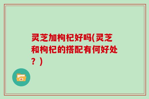 灵芝加枸杞好吗(灵芝和枸杞的搭配有何好处？)