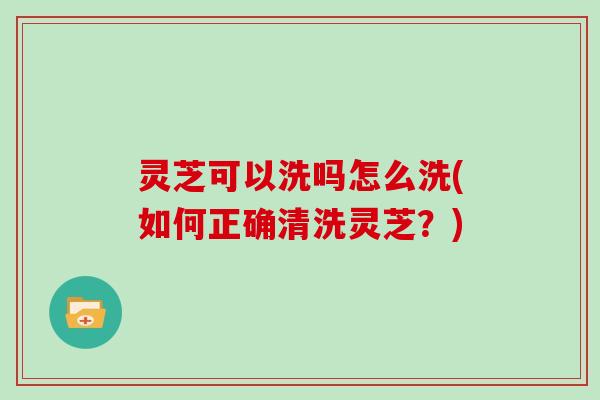 灵芝可以洗吗怎么洗(如何正确清洗灵芝？)