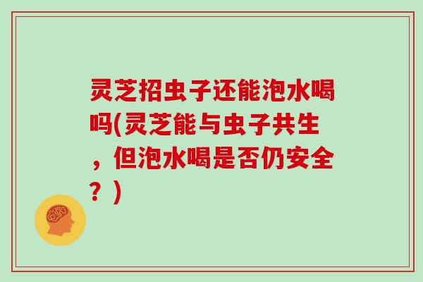 灵芝招虫子还能泡水喝吗(灵芝能与虫子共生，但泡水喝是否仍安全？)