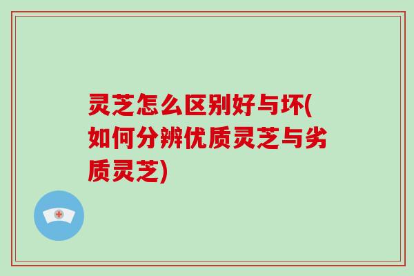 灵芝怎么区别好与坏(如何分辨优质灵芝与劣质灵芝)