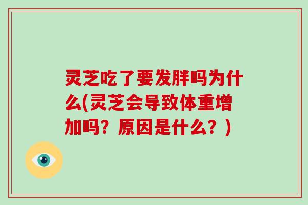 灵芝吃了要发胖吗为什么(灵芝会导致体重增加吗？原因是什么？)