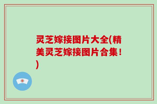 灵芝嫁接图片大全(精美灵芝嫁接图片合集！)