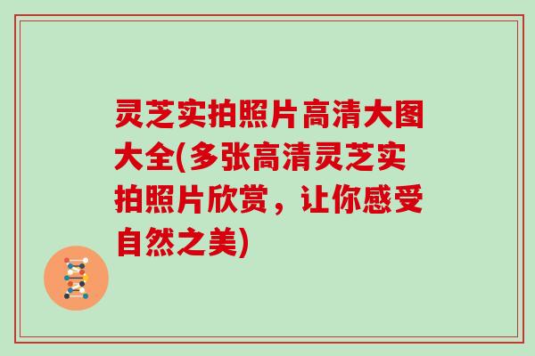 灵芝实拍照片高清大图大全(多张高清灵芝实拍照片欣赏，让你感受自然之美)