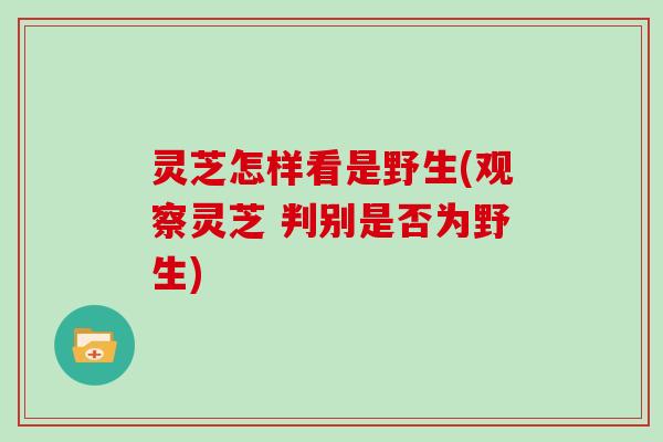 灵芝怎样看是野生(观察灵芝 判别是否为野生)