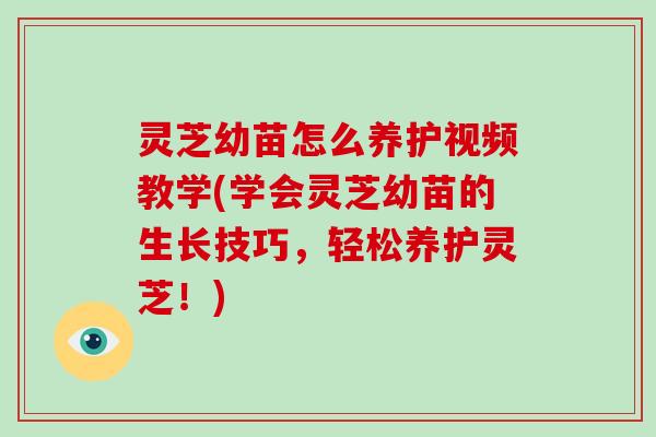 灵芝幼苗怎么养护视频教学(学会灵芝幼苗的生长技巧，轻松养护灵芝！)