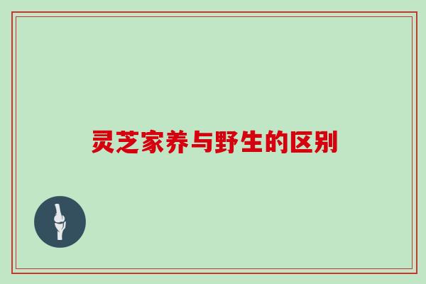 灵芝家养与野生的区别