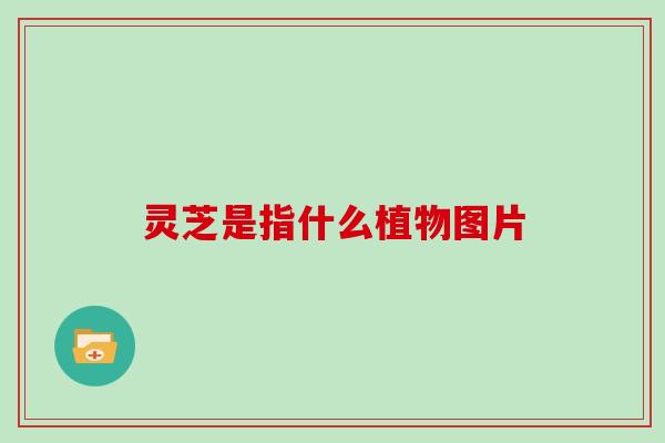 灵芝是指什么植物图片