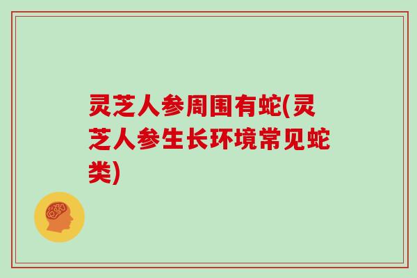 灵芝人参周围有蛇(灵芝人参生长环境常见蛇类)