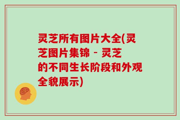 灵芝所有图片大全(灵芝图片集锦 - 灵芝的不同生长阶段和外观全貌展示)