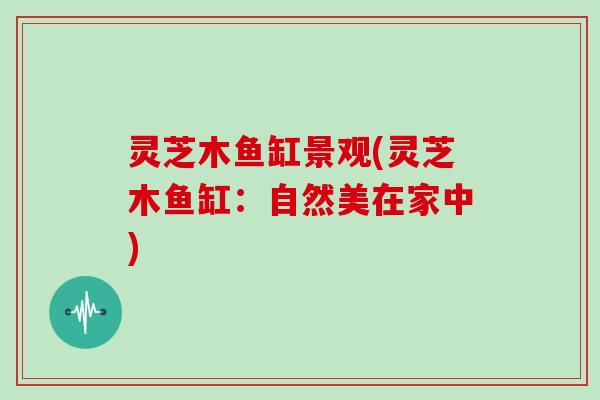 灵芝木鱼缸景观(灵芝木鱼缸：自然美在家中)