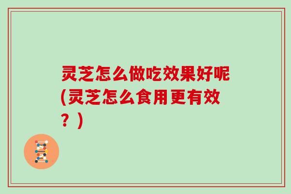 灵芝怎么做吃效果好呢(灵芝怎么食用更有效？)