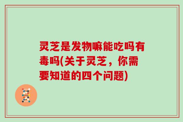 灵芝是发物嘛能吃吗有毒吗(关于灵芝，你需要知道的四个问题)