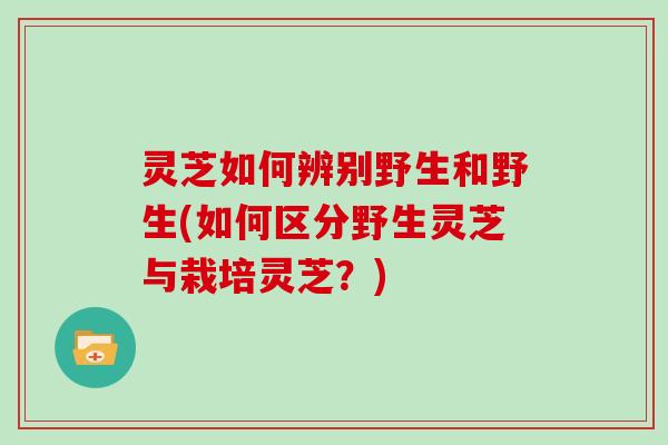 灵芝如何辨别野生和野生(如何区分野生灵芝与栽培灵芝？)