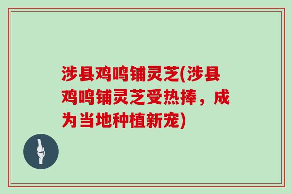 涉县鸡鸣铺灵芝(涉县鸡鸣铺灵芝受热捧，成为当地种植新宠)