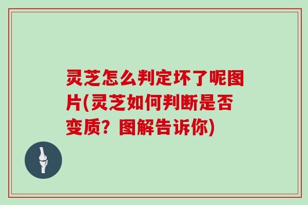 灵芝怎么判定坏了呢图片(灵芝如何判断是否变质？图解告诉你)
