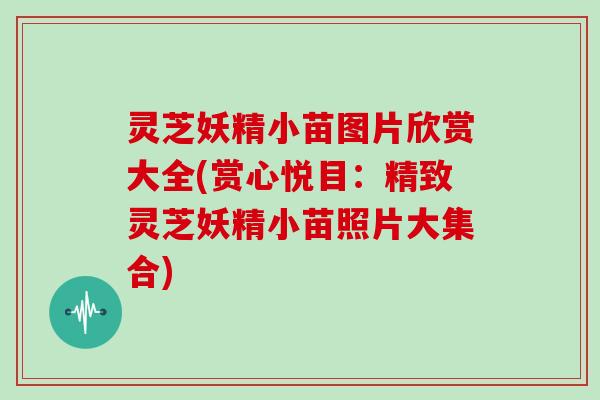 灵芝妖精小苗图片欣赏大全(赏心悦目：精致灵芝妖精小苗照片大集合)