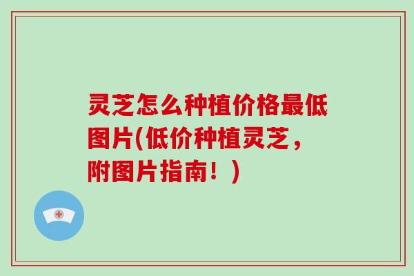 灵芝怎么种植价格最低图片(低价种植灵芝，附图片指南！)