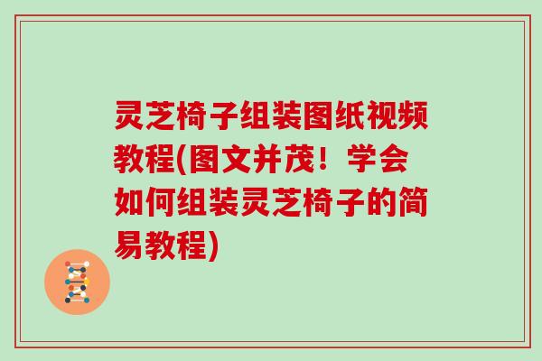 灵芝椅子组装图纸视频教程(图文并茂！学会如何组装灵芝椅子的简易教程)