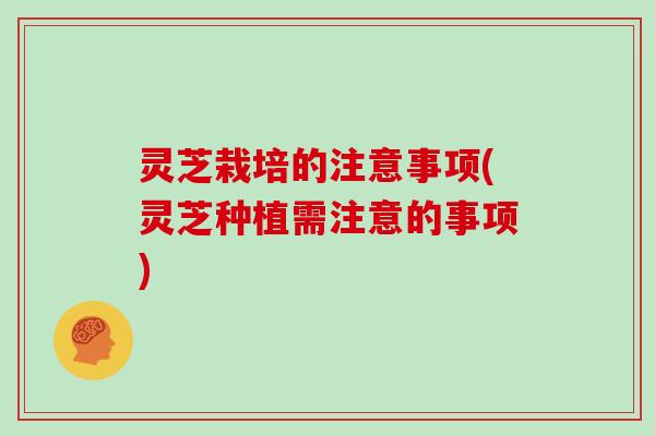 灵芝栽培的注意事项(灵芝种植需注意的事项)