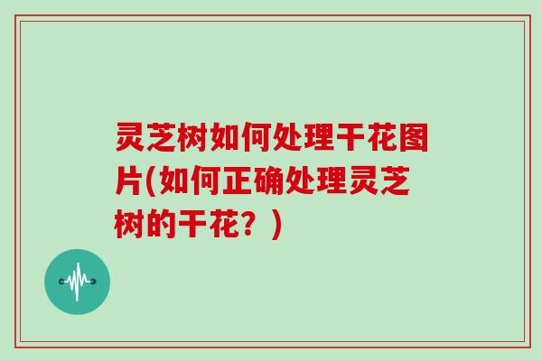 灵芝树如何处理干花图片(如何正确处理灵芝树的干花？)