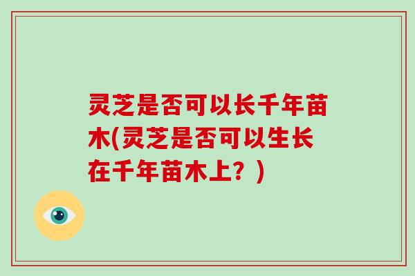 灵芝是否可以长千年苗木(灵芝是否可以生长在千年苗木上?)-第1张图片-灵芝大师 灵芝是否可以长千年苗木(灵芝是否可以生长在千年苗木上?)-第1张图片-灵芝大师