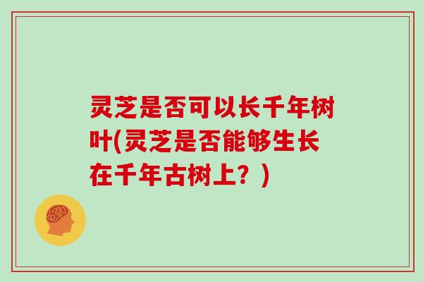 灵芝是否可以长千年树叶(灵芝是否能够生长在千年古树上？)