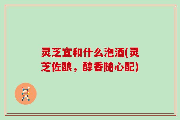 灵芝宜和什么泡酒(灵芝佐酿，醇香随心配)