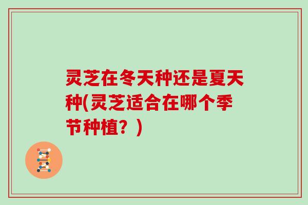 灵芝在冬天种还是夏天种(灵芝适合在哪个季节种植？)