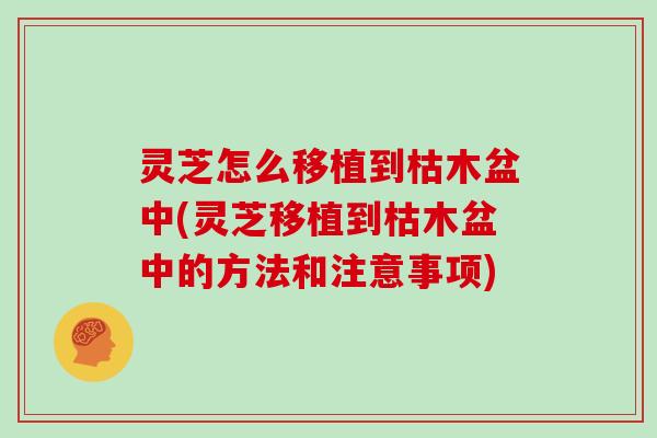 灵芝怎么移植到枯木盆中(灵芝移植到枯木盆中的方法和注意事项)
